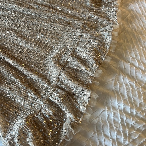 NWT- M by MNK Champaign Sequence Dress Size Small - Picture 3 of 5